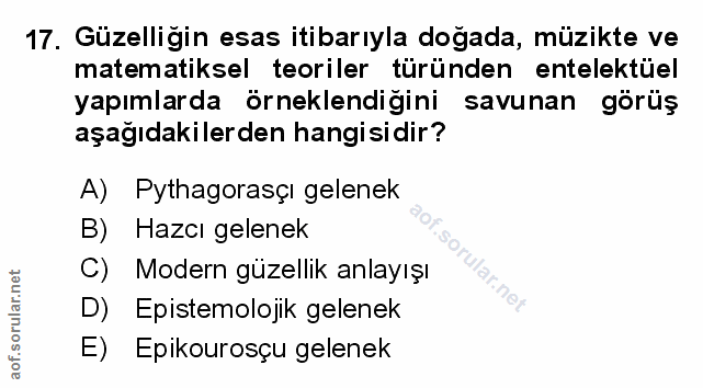 Soru 17