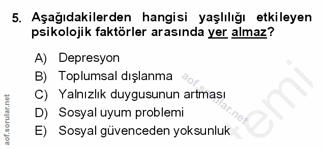 Soru 5