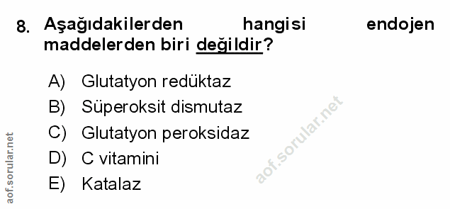Soru 8