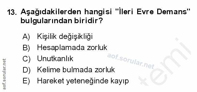 Soru 13