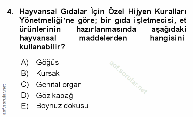 Soru 4