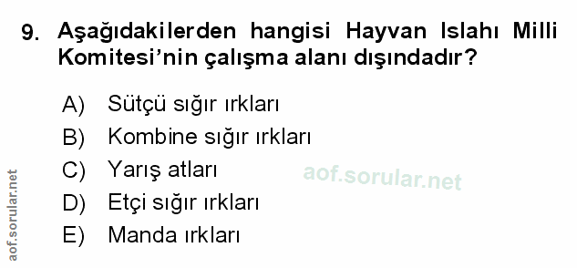 Soru 9