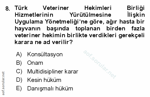 Soru 8