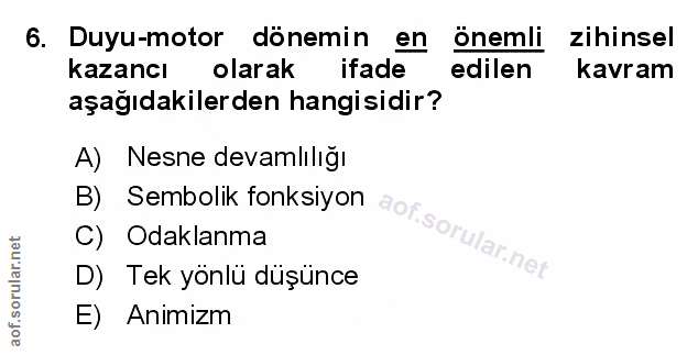 Soru 6
