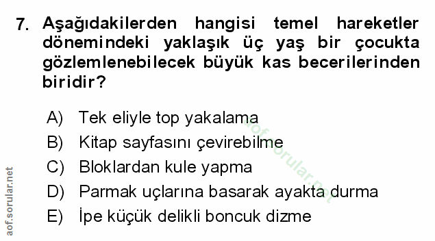 Soru 7