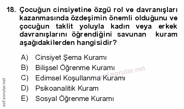 Soru 18
