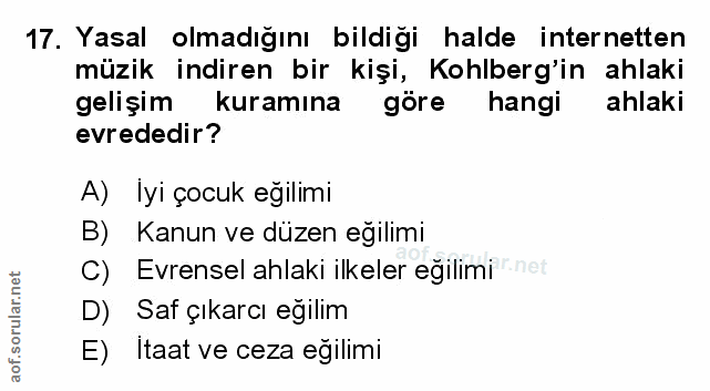 Soru 17
