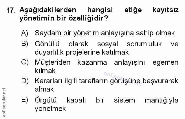 Soru 17