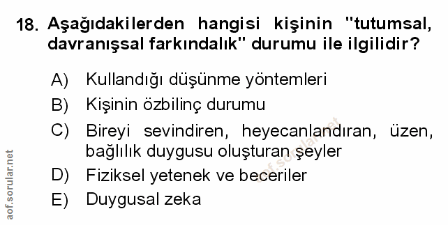 Soru 18