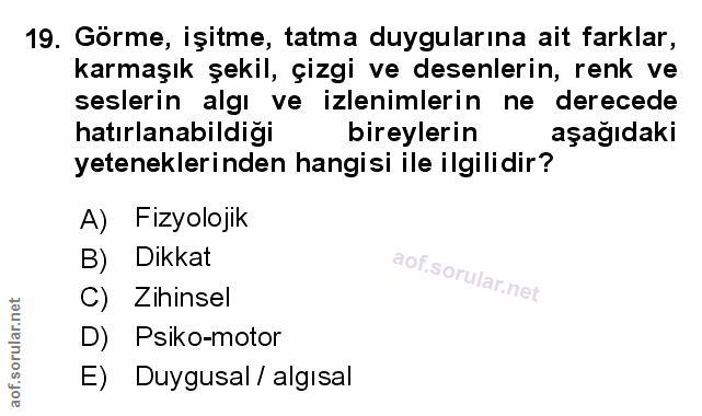 Soru 19