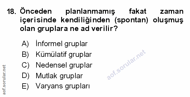 Soru 18