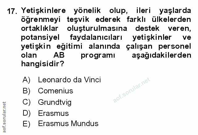 Soru 17