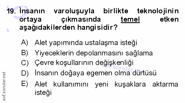 Soru 19