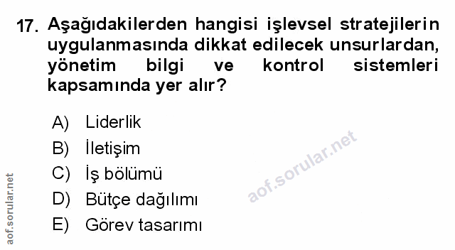 Soru 17