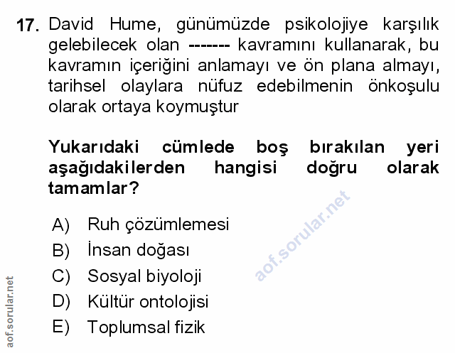 Soru 17