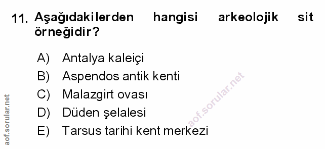 Soru 11