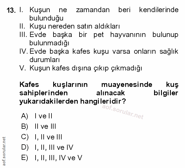 Soru 13