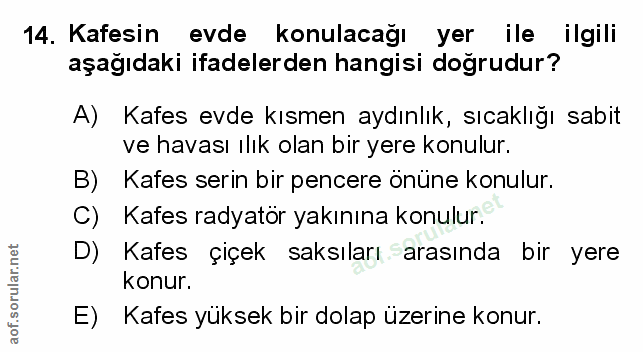 Soru 14
