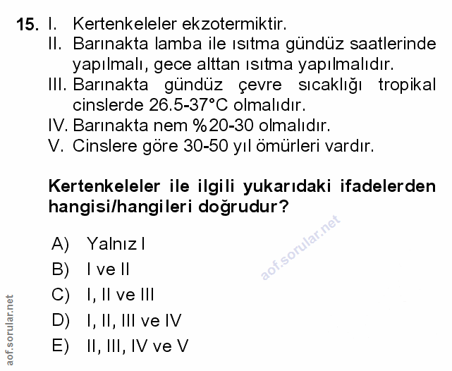 Soru 15