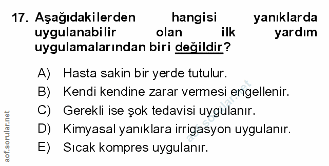 Soru 17