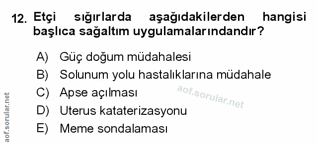 Soru 12