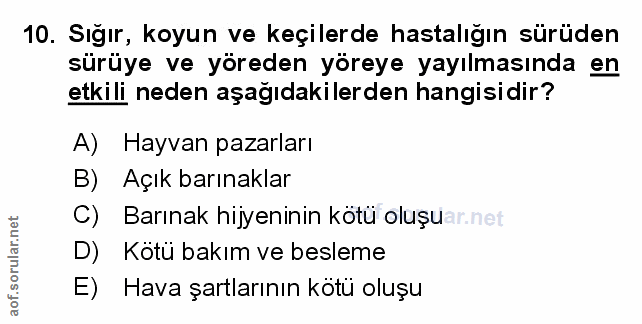 Soru 10