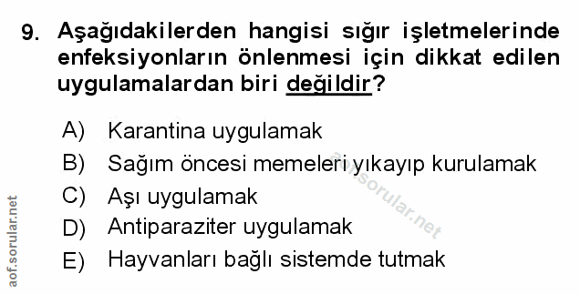 Soru 9