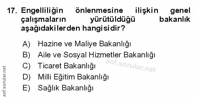 Soru 17