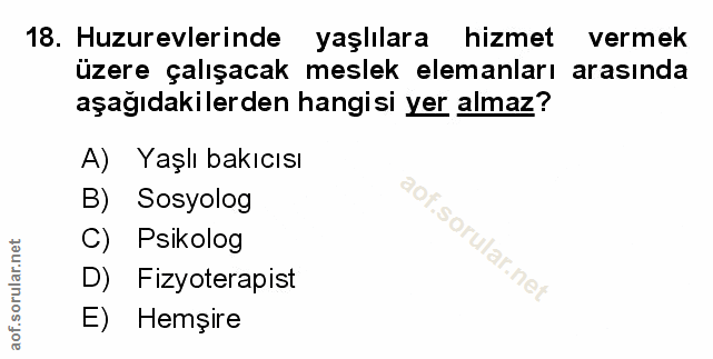 Soru 18