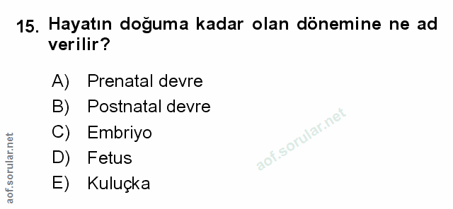 Soru 15