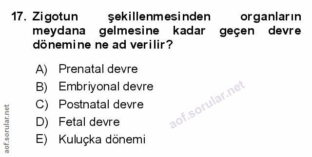 Soru 17