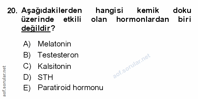 Soru 20