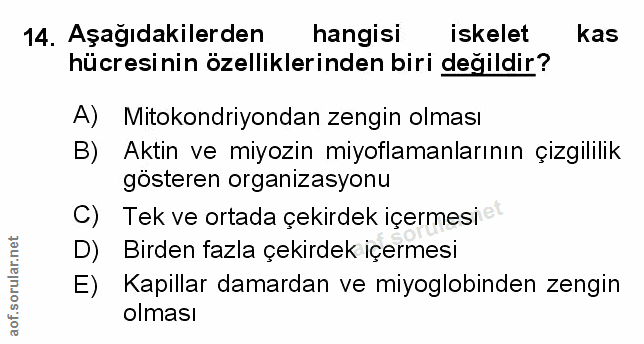 Soru 14