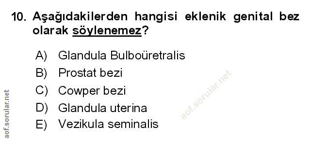 Soru 10