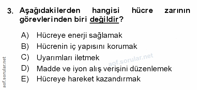 Soru 3