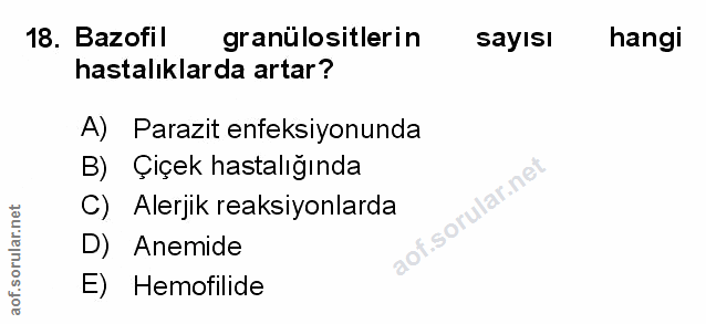 Soru 18