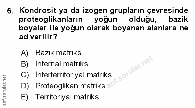 Soru 6