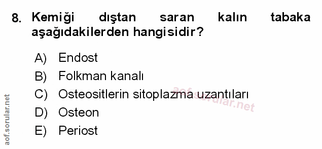 Soru 8