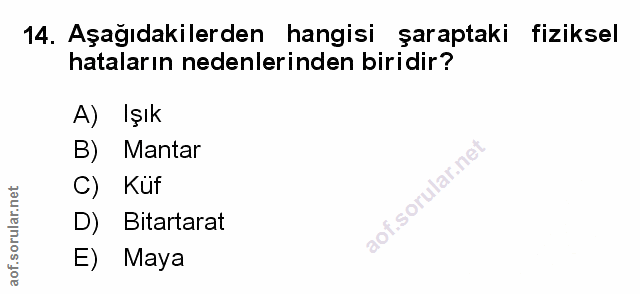 Soru 14