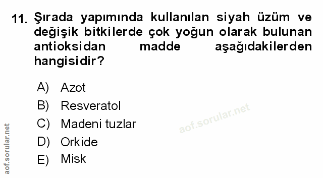 Soru 11