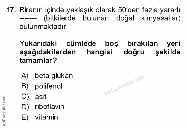 Soru 17