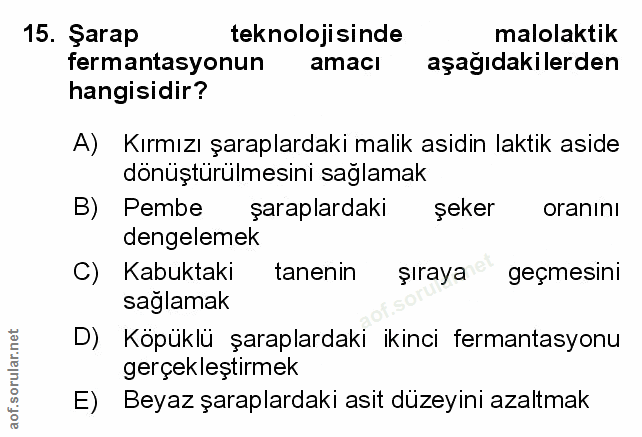 Soru 15