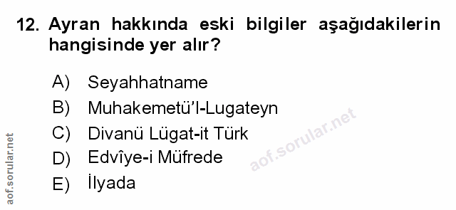 Soru 12