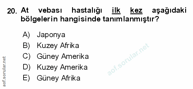 Soru 20