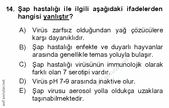 Soru 14