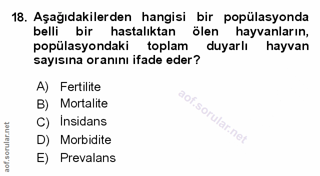 Soru 18