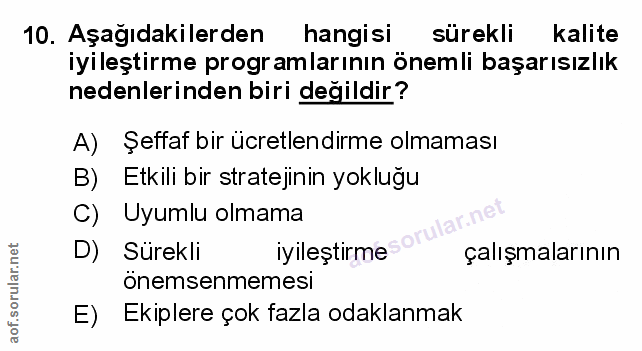 Soru 10