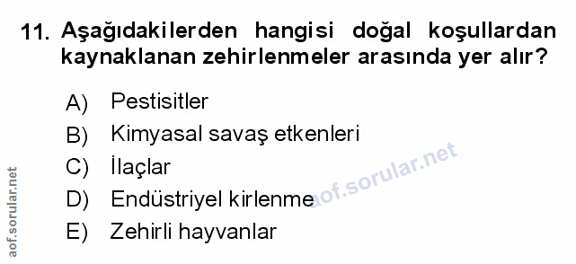 Soru 11