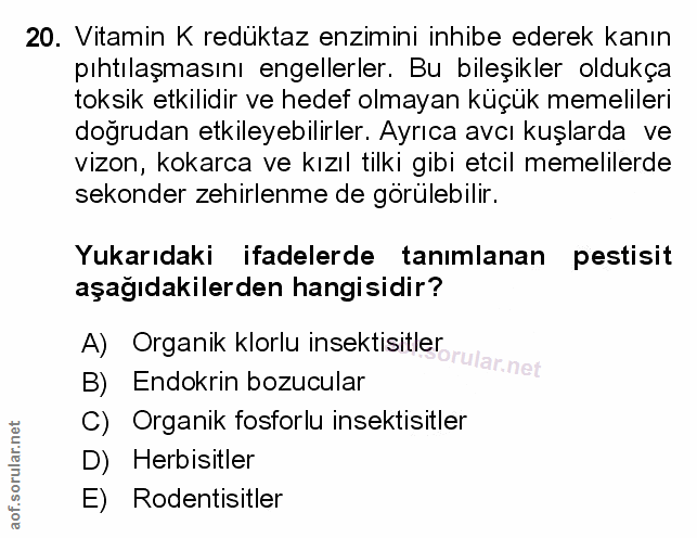 Soru 20