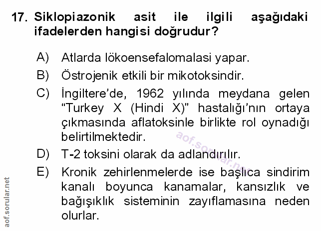 Soru 17